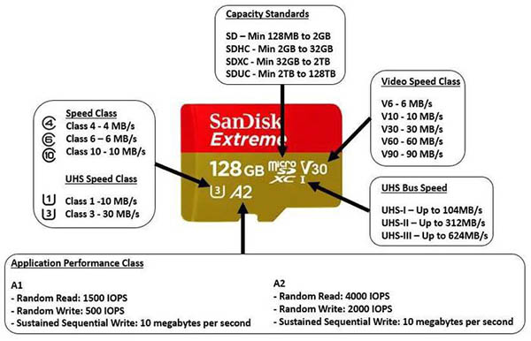 Explicação dos Modelos SD Card